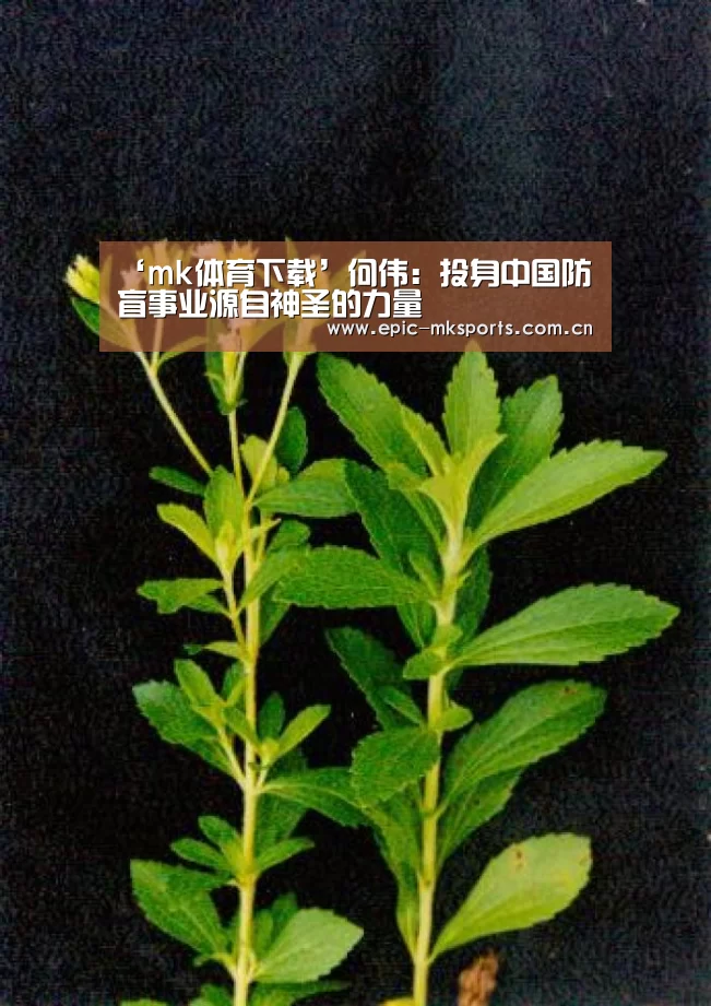 mk体育app