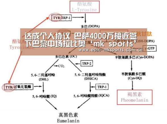 达成个人协议 巴萨4000万接近签下巴黎中场拉比奥‘mk sports’(图3) mk体育下载